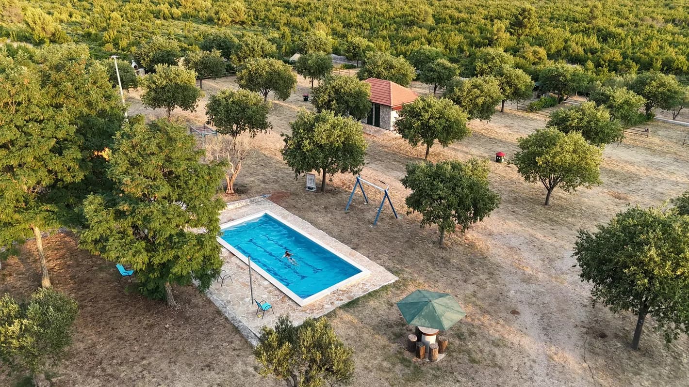 Vinograd · zlatni sat