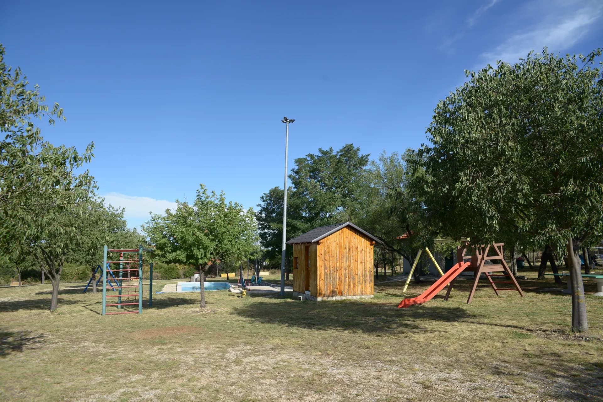 Maslinik