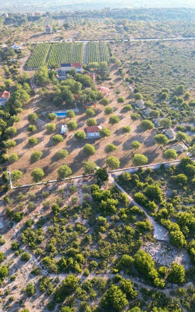 Kamp